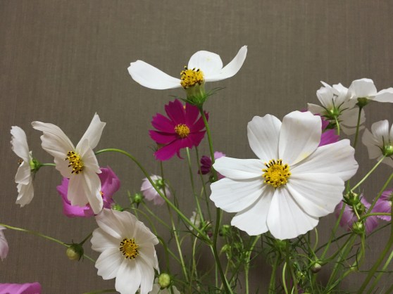 ～花空間　ボンヌ・ジュルネ(Bonne Journee)⑭