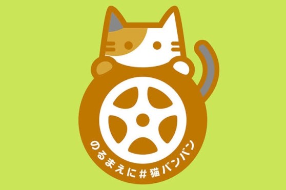 涙いっぱい。感動の出来事が…✨